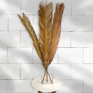 Bundle of 3 Natural Sago Dried Palm Leaves